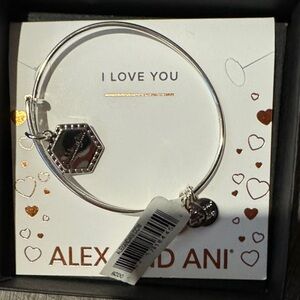 Alex and Ani Silver Goddaughter Expandable Bangle